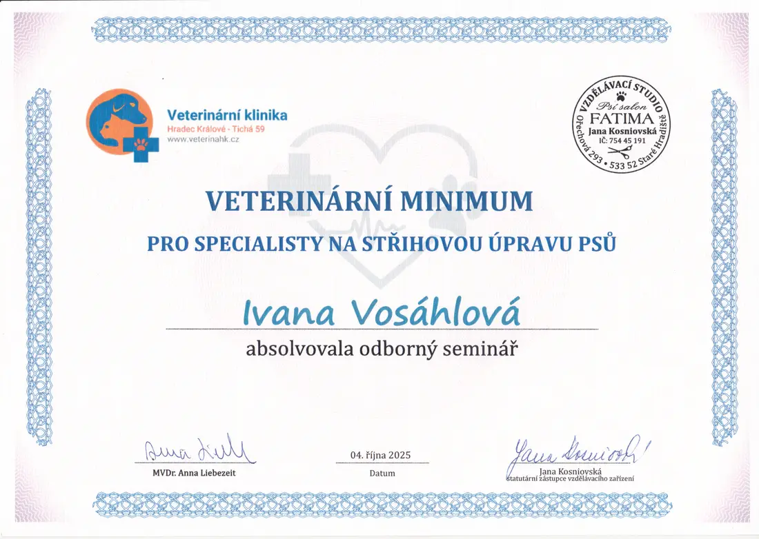 Certifikát