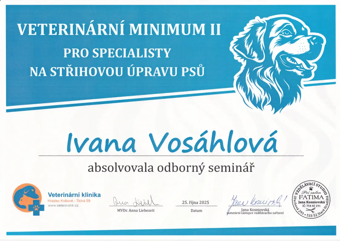Certifikát